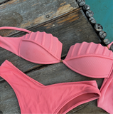 Bikini shelldream coral