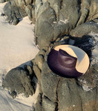 Color blocked HAT negro